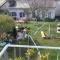 Bleu Agapanthe photo 17