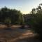 Beautiful new detached casita nestled in scenic southern CA foothills!