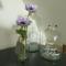 Vakantiewoning Brouwersbuurt