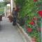 House Lopar (899)