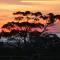 Red Hill Ridge
