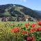 Pension Arnica B&B