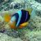 Dolphin View Self Catering - Scottburgh