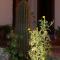 Hotel Norte Rupestre