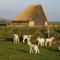 fantastic bungalow on Texel - De Cocksdorp