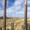Pet-Friendly Texel Escape
