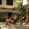 Believe Surf & Yoga Lodge Santa Teresa