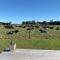A Place in the Paddock
