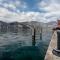 Harbor View - Malcesine