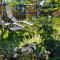 B&B Perron13
