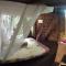 Bukit Raya Guesthouse