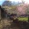 The Old Barn