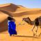 Desert glamping experience - 梅尔祖卡