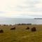 Follies Suites Ballyvoile