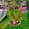Racha guest house MERO
