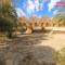 Ahmed Safari Camp