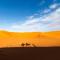Desert glamping experience - 梅尔祖卡