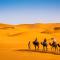 Desert glamping experience - 梅尔祖卡