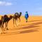 Desert glamping experience - 梅尔祖卡
