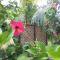 Zanboza Guesthouse