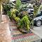 Hostal Mariscal Sucre