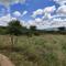 Oldonyo Orok Lodge - Kajiado