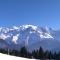 Mont Étape , F2, 42 m2, Calme, Vue Mt Blanc Mont Étape , F2, 42 m2, Calme, Vue Mt Blanc