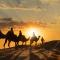Desert glamping experience - 梅尔祖卡