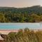 Luxury villa in Provence with a private pool - Martres-Tolosane