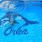 Orka World Hotel & Aquapark - Oludeniz