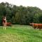 Glamping - Hayrack Vesel