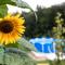 Glamping - Hayrack Vesel