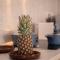 Gleaming 1 BR Apt Mangroovy w Pool & Beach Access - Hurghada