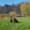 Bild Ferienhaus Leopold mit Burgblick an der Mosel