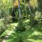 Studio cosy à Boucan Canot, 30 m² avec jardin privé