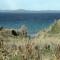 Room in Susak with air conditioning, W-LAN (3865-4) - Susak