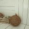 Zensus Eco Boutique Hotel