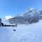 Comfortable chalet close to ski slopes - Grindelwald
