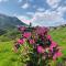 The chalet de la Meije - Facing the Plateau d'Emparis - Ла-Ґрав