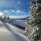 Heidi Chalets Falkert Heidialm - Chalets Bergwinter - Patergassen