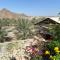 UAE farm