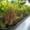 Anantaya Home - Пхре