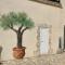 LEscale des Alpilles