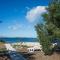 House Idro
