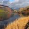 Snowdonia Hideaway - Tywyn