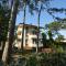 Lignano pineta close to the beach