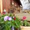Liljas Haus im Spreewald
