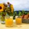 Ferienparadies Bodensee Fewo1 - Owingen