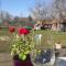 Liljas Haus im Spreewald