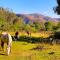 Rancho Reencuentro Eco Hotel & Cabalgatas